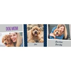 Frisco Double Walled "Dog Mom" Personalized Tumbler, 30-oz Cup -Pet Supplies Discount Store 250741 PT2. AC SS1800 V1602689509