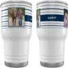 Frisco Double Walled Preppy Stripes Personalized Tumbler, 30-oz Cup -Pet Supplies Discount Store 250751 MAIN. AC SS1800 V1606680435