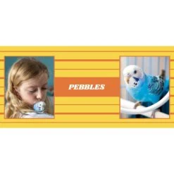 Frisco Double Walled Preppy Stripes Personalized Tumbler, 30-oz Cup 9 Frisco Double Walled Preppy Stripes Personalized Tumbler, 30-oz Cup -Pet Supplies Discount Store 250751 PT2. AC SS1800 V1606678620