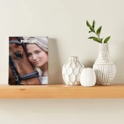 Frisco Personalized Gallery-Wrapped Canvas -Pet Supplies Discount Store 250797 PT3. AC SS1800 V1610758730