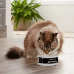 Frisco "Paws Off" Ceramic Personalized Dog & Cat Bowl -Pet Supplies Discount Store 250829 PT3. AC SS1800 V1610767170