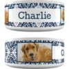 Frisco Boho Damask Ceramic Personalized Dog Bowl -Pet Supplies Discount Store 250835 MAIN. AC SS1800 V1602632496