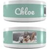 Frisco Playful Kitty Ceramic Personalized Cat Bowl, 1-cup, 8oz 2 Frisco Playful Kitty Ceramic Personalized Cat Bowl, 1-cup, 8oz -Pet Supplies Discount Store 250841 MAIN. AC SS1800 V1602625886