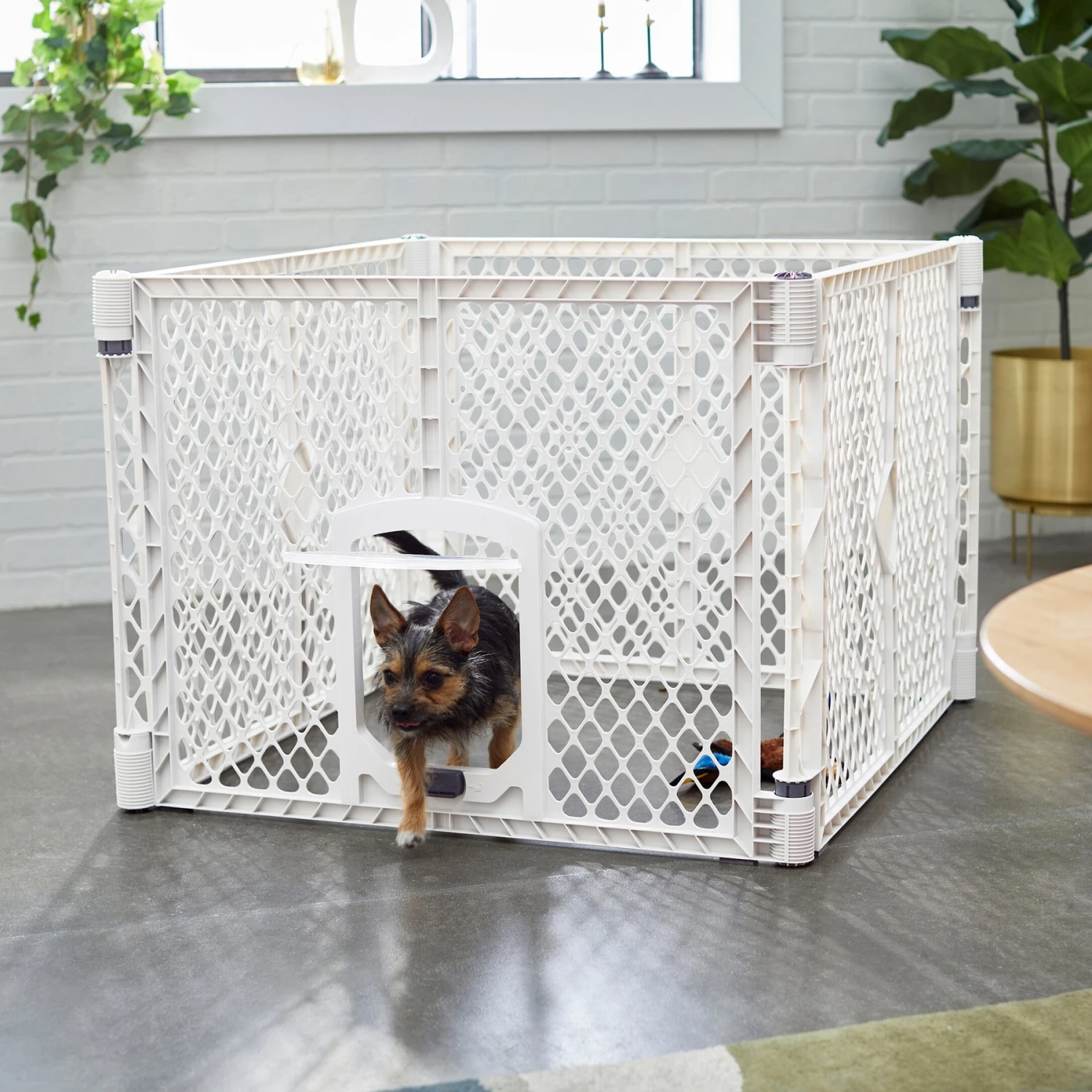 Frisco 4-Panel Plastic Exercise Dog Playpen 3 Frisco 4-Panel Plastic Exercise Dog Playpen
