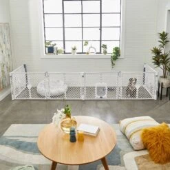 Frisco 6-Panel Plastic Exercise Dog Playpen, Light Gray -Pet Supplies Discount Store 252045 PT6. AC SS1800 V1611090517