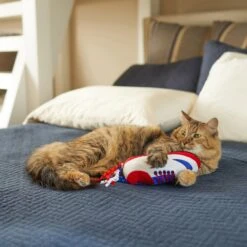 Frisco Baseball Cleat Cat Toy -Pet Supplies Discount Store 252734 PT5. AC SS1800 V1615814504