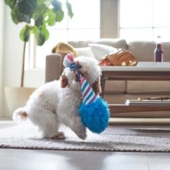 Frisco Baseball Cotton Candy Plush With Rope Squeaky Dog Toy -Pet Supplies Discount Store 252750 PT5. AC SS1800 V1615814567