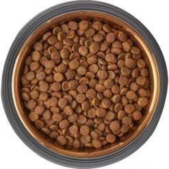 Frisco Matte Black Design Light Copper Stainless Steel Dog & Cat Bowl -Pet Supplies Discount Store 253051 PT5. AC SS1800 V1616526794