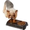 Frisco Copper Stainless Steel Double Dog & Cat Bowls With Black Marble Stand 1 Frisco Copper Stainless Steel Double Dog & Cat Bowls With Black Marble Stand -Pet Supplies Discount Store 253058 MAIN. AC SS1800 V1616075012