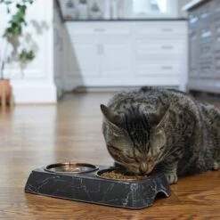 Frisco Copper Stainless Steel Double Dog & Cat Bowls With Black Marble Stand -Pet Supplies Discount Store 253058 PT2. AC SS1800 V1616594213