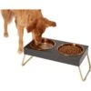 Frisco Copper Stainless Steel Elevated Foldable Double Dog & Cat Bowls -Pet Supplies Discount Store 253060 MAIN. AC SS1800 V1616073913