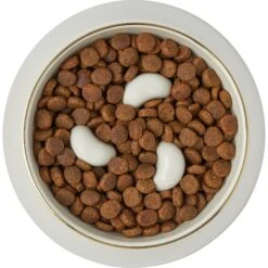 Frisco Melamine Slow Feed Dog & Cat Bowl With Gold Trim -Pet Supplies Discount Store 253066 PT5. AC SS1800 V1616597830