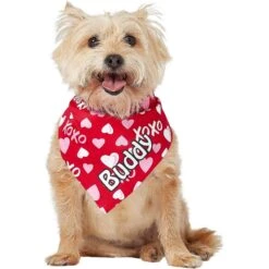 Frisco XOXO Hearts Personalized Dog & Cat Bandana -Pet Supplies Discount Store 254203 PT6. AC SS1800 V1632427913
