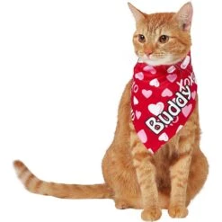 Frisco XOXO Hearts Personalized Dog & Cat Bandana -Pet Supplies Discount Store 254203 PT7. AC SS1800 V1632417974