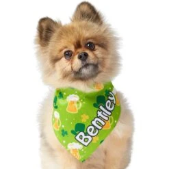 Frisco Green Ale Personalized Dog & Cat Bandana -Pet Supplies Discount Store 254207 PT6. AC SS1800 V1618509755