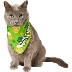 Frisco Green Ale Personalized Dog & Cat Bandana -Pet Supplies Discount Store 254207 PT7. AC SS1800 V1618510956