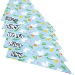 Frisco Easter Bunny Personalized Dog & Cat Bandana 15 Frisco Easter Bunny Personalized Dog & Cat Bandana -Pet Supplies Discount Store 254211 PT4. AC SS1800 V1618511521