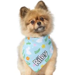 Frisco Easter Bunny Personalized Dog & Cat Bandana 17 Frisco Easter Bunny Personalized Dog & Cat Bandana -Pet Supplies Discount Store 254211 PT6. AC SS1800 V1618509425