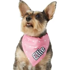 Frisco Polka Dot Personalized Dog & Cat Bandana 17 Frisco Polka Dot Personalized Dog & Cat Bandana -Pet Supplies Discount Store 254223 PT6. AC SS1800 V1696432728
