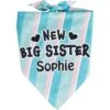 Frisco Big Sister Personalized Dog & Cat Bandana -Pet Supplies Discount Store 254235 MAIN. AC SS1800 V1619559736