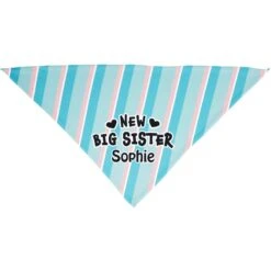 Frisco Big Sister Personalized Dog & Cat Bandana -Pet Supplies Discount Store 254235 PT2. AC SS1800 V1696443271