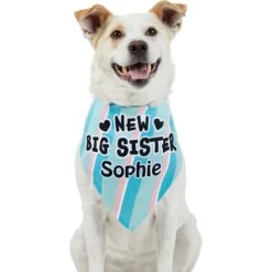 Frisco Big Sister Personalized Dog & Cat Bandana -Pet Supplies Discount Store 254235 PT6. AC SS1800 V1619558258