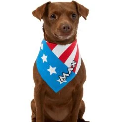 Frisco Americana Personalized Dog & Cat Bandana 17 Frisco Americana Personalized Dog & Cat Bandana -Pet Supplies Discount Store 254239 PT6. AC SS1800 V1619558231