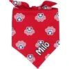 Frisco Patriotic Paws Personalized Dog & Cat Bandana