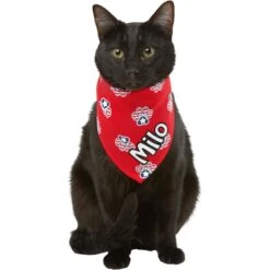 Frisco Patriotic Paws Personalized Dog & Cat Bandana -Pet Supplies Discount Store 254243 PT7. AC SS1800 V1619559130