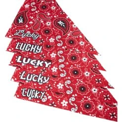 Frisco Paisley Printed Personalized Dog & Cat Bandana -Pet Supplies Discount Store 254247 PT4. AC SS1800 V1618511570