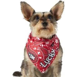 Frisco Paisley Printed Personalized Dog & Cat Bandana -Pet Supplies Discount Store 254247 PT6. AC SS1800 V1618507975