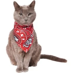 Frisco Paisley Printed Personalized Dog & Cat Bandana -Pet Supplies Discount Store 254247 PT7. AC SS1800 V1618508211