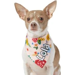 Frisco Floral Personalized Dog & Cat Bandana -Pet Supplies Discount Store 254255 PT6. AC SS1800 V1618507356