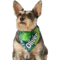 Frisco Tropical Palms Personalized Dog & Cat Bandana -Pet Supplies Discount Store 254259 PT6. AC SS1800 V1632425201