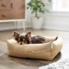 Frisco Faux Felt Reversible Modern Zipper Bolster Cat & Dog Bed 1 Frisco Faux Felt Reversible Modern Zipper Bolster Cat & Dog Bed -Pet Supplies Discount Store 255154 MAIN. AC SS1800 V1616011309
