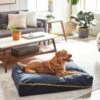 Frisco Faux Felt Zipper Pillow Cat & Dog Bed -Pet Supplies Discount Store 255158 MAIN. AC SS1800 V1616011383