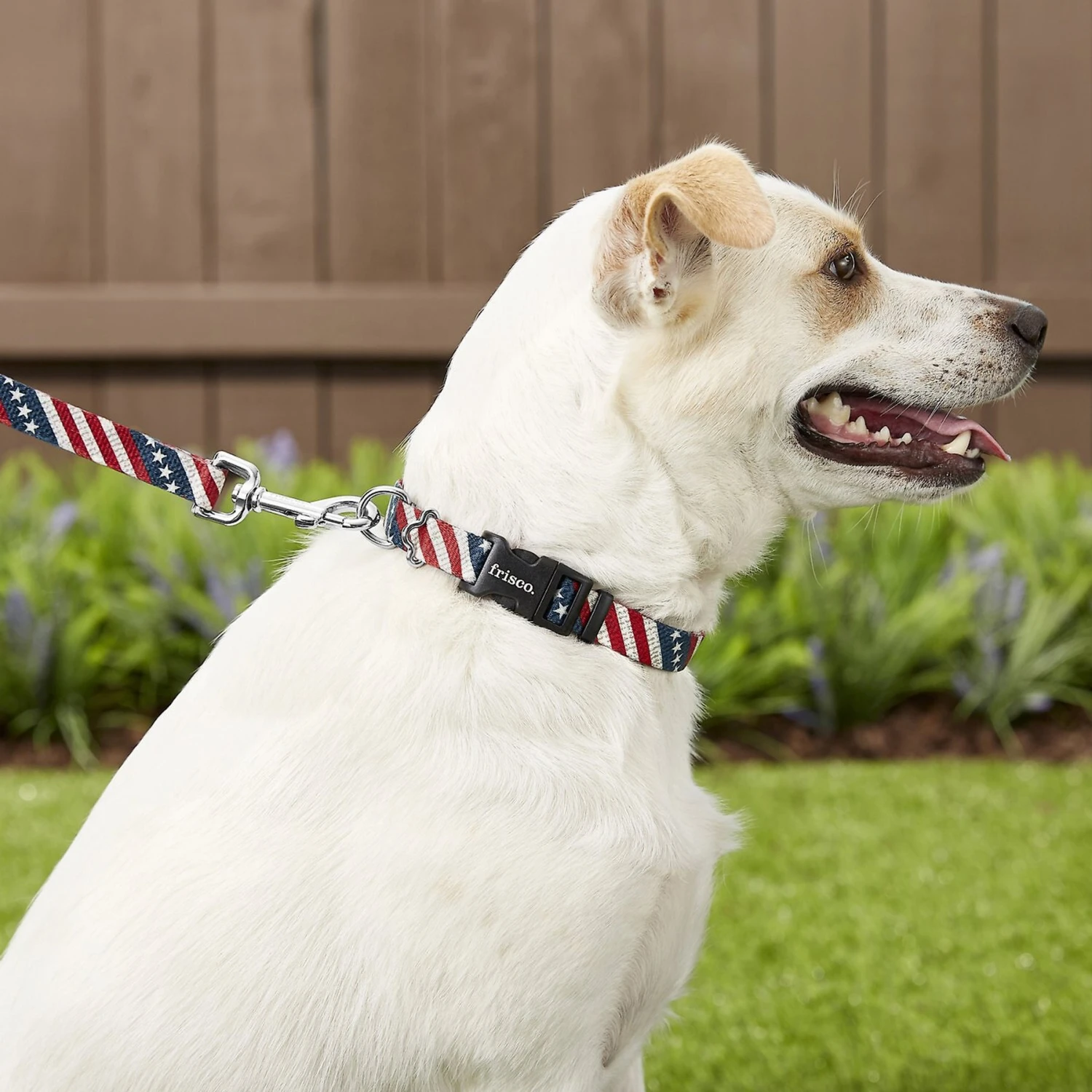 Frisco American Flag Polyester Dog Leash & Frisco American Flag Polyester Dog Collar 5 Frisco American Flag Polyester Dog Leash & Frisco American Flag Polyester Dog Collar - Image 3