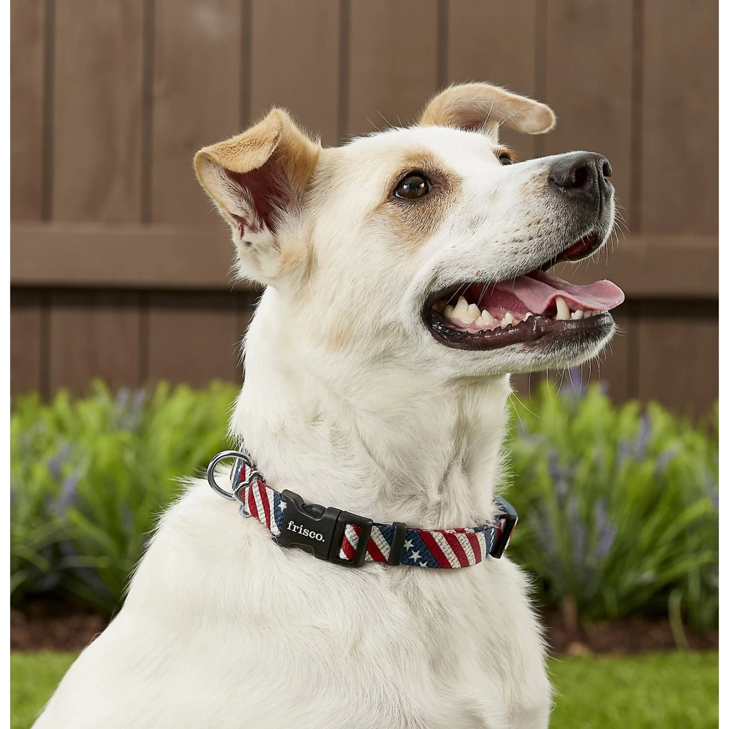 Frisco American Flag Polyester Dog Leash & Frisco American Flag Polyester Dog Collar 6 Frisco American Flag Polyester Dog Leash & Frisco American Flag Polyester Dog Collar - Image 4