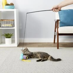 Frisco Bird With Feathers Teaser Wand Cat Toy With Catnip & OurPets Cosmic Catnip 8 Frisco Bird With Feathers Teaser Wand Cat Toy With Catnip & OurPets Cosmic Catnip -Pet Supplies Discount Store 255459 PT2. AC SS1800 V1608163659