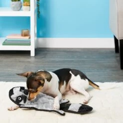 Frisco Alligator Stuffing-Free Flat Plush Squeaky Dog Toy & Frisco Raccoon Stuffing-Free Flat Plush Squeaky Dog Toy 11 Frisco Alligator Stuffing-Free Flat Plush Squeaky Dog Toy & Frisco Raccoon Stuffing-Free Flat Plush Squeaky Dog Toy -Pet Supplies Discount Store 255471 PT4. AC SS1800 V1602691287