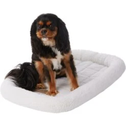 Frisco Fold & Carry Single Door Collapsible Wire Dog Crate & Frisco Quilted Dog Crate Mat 11 Frisco Fold & Carry Single Door Collapsible Wire Dog Crate & Frisco Quilted Dog Crate Mat -Pet Supplies Discount Store 255493 PT4. AC SS1800 V1603545111