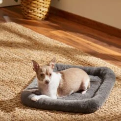 Frisco Fold & Carry Single Door Collapsible Wire Dog Crate & Frisco Quilted Plush Dog Crate Mat -Pet Supplies Discount Store 255501 PT4. AC SS1800 V1604097719