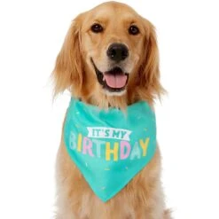 Frisco Happy Birthday Dog & Cat Crown & Frisco Dog & Cat Birthday Bandana -Pet Supplies Discount Store 255523 PT3. AC SS1800 V1603716114