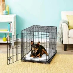 Frisco Heavy Duty Fold & Carry Single Door Collapsible Wire Dog Crate & Frisco Quilted Dog Crate Mat -Pet Supplies Discount Store 255551 PT2. AC SS1800 V1604096511