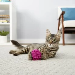 Frisco Moppy Ball Cat Toy With Catnip & Frisco Moppy Ball Cat Toy With Catnip -Pet Supplies Discount Store 255585 PT4. AC SS1800 V1602691598