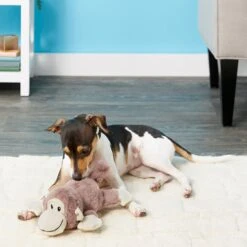Frisco Monkey Plush Squeaky Dog Toy & Frisco Fox Plush Squeaky Dog Toy 9 Frisco Monkey Plush Squeaky Dog Toy & Frisco Fox Plush Squeaky Dog Toy -Pet Supplies Discount Store 255597 PT2. AC SS1800 V1602702685