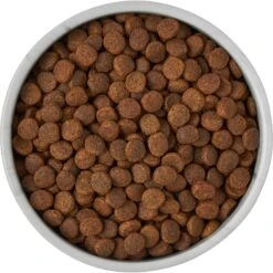 Frisco Marble Design Non-skid Ceramic Dog & Cat Bowl 15 Frisco Marble Design Non-skid Ceramic Dog & Cat Bowl -Pet Supplies Discount Store 256056 PT6. AC SS1800 V1615310860