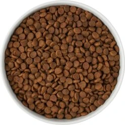 Frisco Paw Prints Non-skid Ceramic Bowl 13 Frisco Paw Prints Non-skid Ceramic Bowl -Pet Supplies Discount Store 256072 PT5. AC SS1800 V1615312318