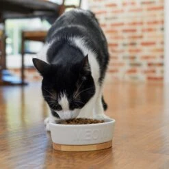 Frisco Oval Meow Non-skid Ceramic Cat Bowl With Wood Base -Pet Supplies Discount Store 256080 PT2. AC SS1800 V1615310782