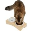 Frisco Double Elevated Cat Bowl With Wood Stand 2 Frisco Double Elevated Cat Bowl With Wood Stand -Pet Supplies Discount Store 256082 MAIN. AC SS1800 V1616509034